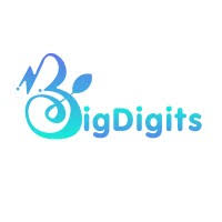 BigDigits Digital Solutions LLP