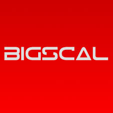 Bigscal Technologies Pvt. Ltd.