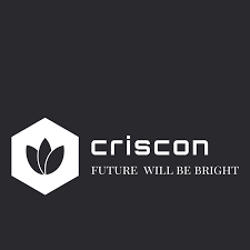 CRISCON IT SERVICES