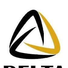 Delta IT Services