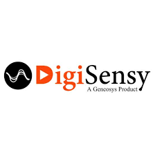 DigiSensy