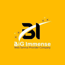 Bigimmense IT Company