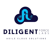 Diligent Force Labs India Pvt. Ltd