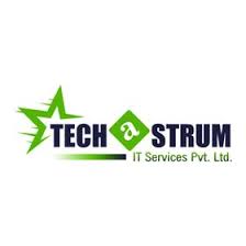 Techastrum IT Services Pvt. Ltd.