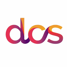 Disa Consulting Services
