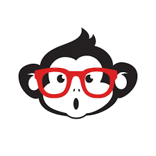 IT Monkey
