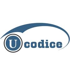 Ucodice Technologies IT Company